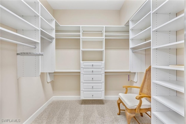 9121 Southmont Cv Unit 204, Fort Myers, FL 33908 - walk in closet with carpet floors