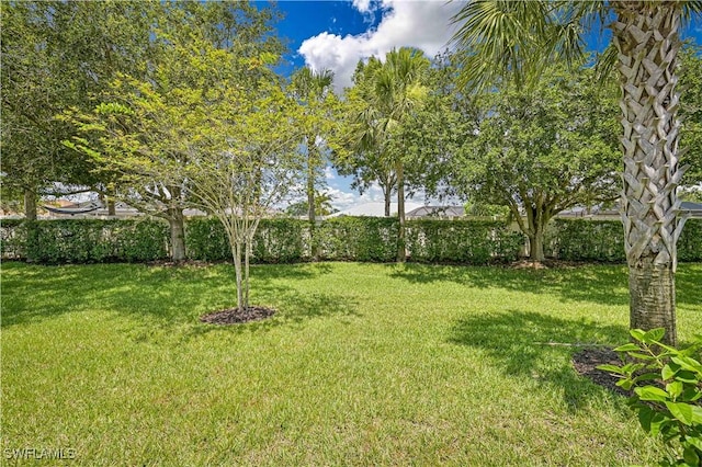 2113 Summersweet Dr, Alva, FL 33920 - view of yard