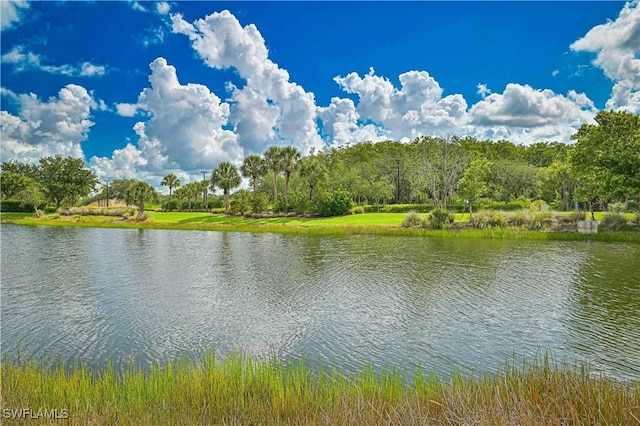 15239 Ligustrum Ln, Alva, FL 33920 - photo 7