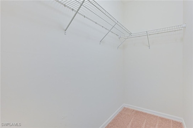15239 Ligustrum Ln, Alva, FL 33920 - photo 31