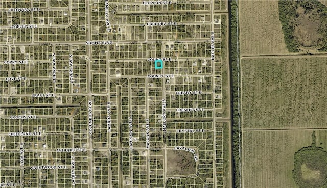 1230 Count St E, Lehigh Acres, FL 33974
