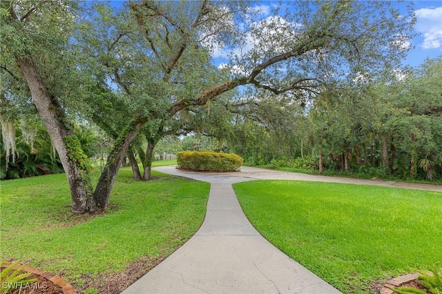 17470 Oak Creek Rd, Alva, FL 33920 - photo 45