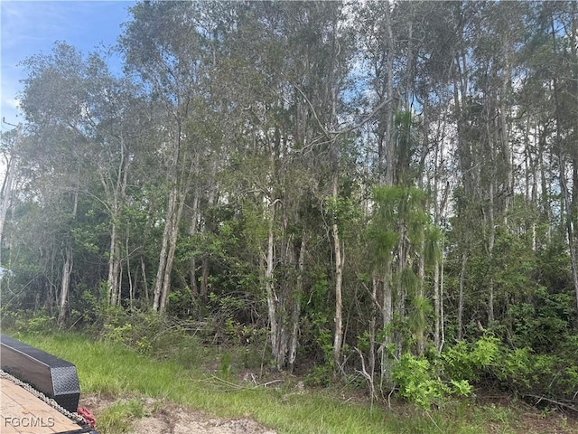 701 Barcia St E, Lehigh Acres, FL 33974 - photo 1