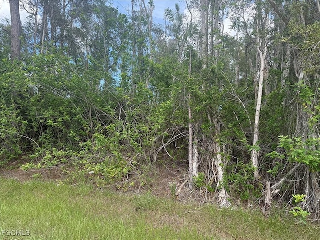 701 Barcia St E, Lehigh Acres, FL 33974 - photo 5