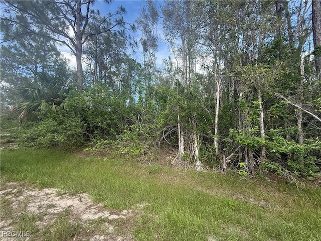 701 Barcia St E, Lehigh Acres, FL 33974 - photo 6
