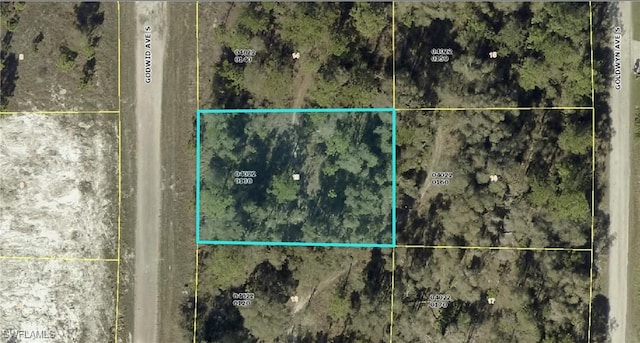 707 Godwid Ave S, Lehigh Acres, FL 33974