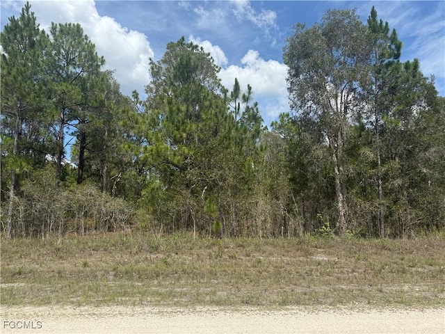 707 Godwid Ave S, Lehigh Acres, FL 33974 - photo 1