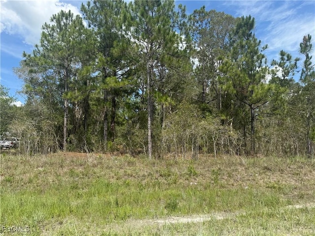 707 Godwid Ave S, Lehigh Acres, FL 33974 - photo 5