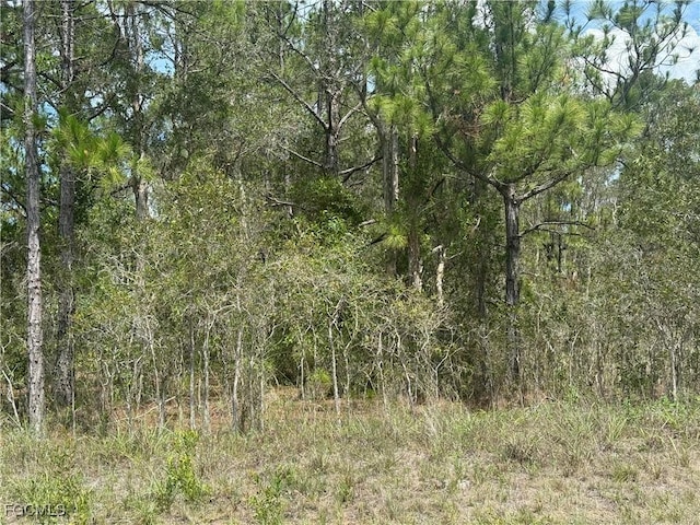 707 Godwid Ave S, Lehigh Acres, FL 33974 - photo 6