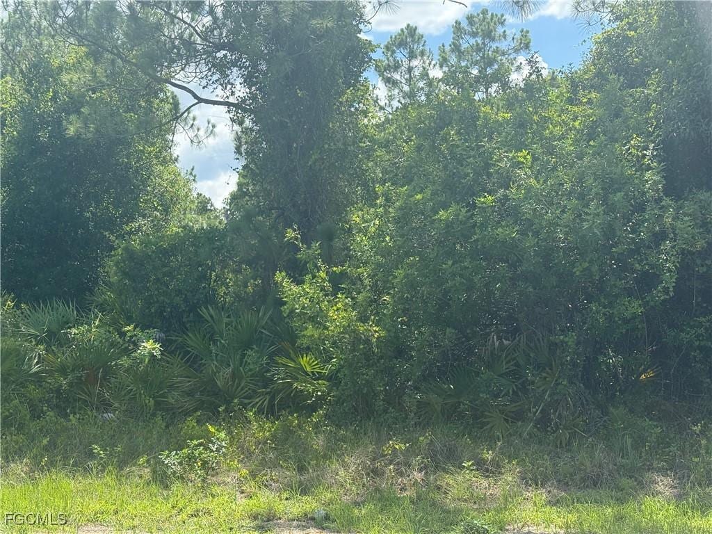 228 Aurora Ave S, Lehigh Acres, FL 33974 - photo 1
