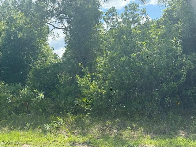 228 Aurora Ave S, Lehigh Acres, FL 33974 - photo 1