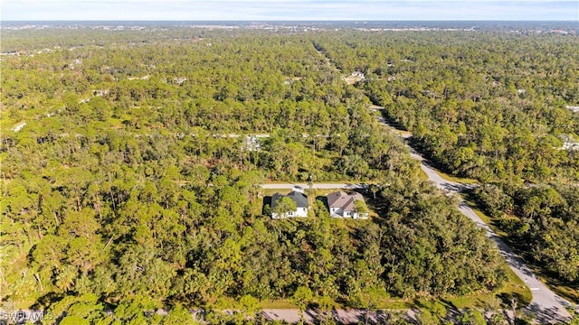 14059 Gailwood Ave, Port Charlotte, FL 33953 - photo 43