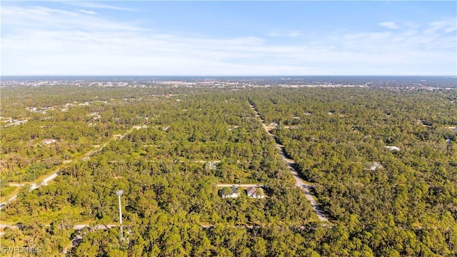 14059 Gailwood Ave, Port Charlotte, FL 33953 - photo 42