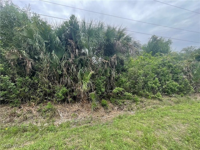 1000 W 14th St, Lehigh Acres, FL 33972 - photo 2