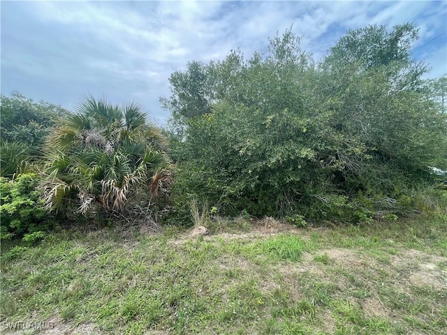 1000 W 14th St, Lehigh Acres, FL 33972 - photo 3