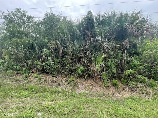 1000 W 14th St, Lehigh Acres, FL 33972 - photo 4