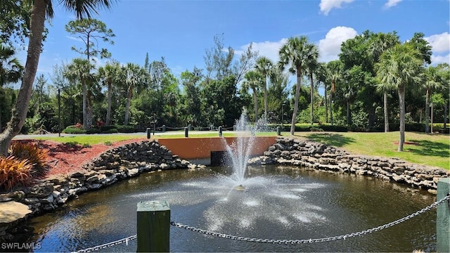 17910 Antherium Ln, North Fort Myers, FL 33917 - photo 49