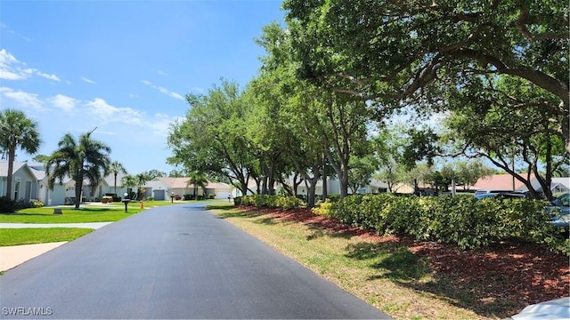 17910 Antherium Ln, North Fort Myers, FL 33917 - photo 46