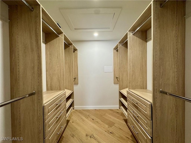 780 Augusta Blvd Unit C204, Naples, FL 34113 - walk in closet featuring light wood-style flooring and attic access