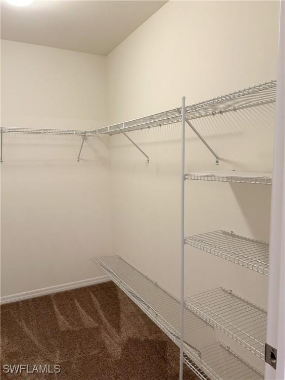 406 SW 25th Pl, Cape Coral, FL 33991 - spacious closet featuring carpet floors