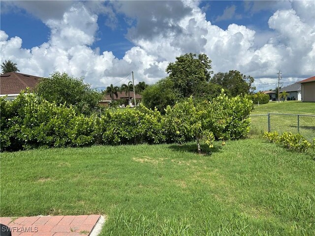 406 SW 25th Pl, Cape Coral, FL 33991 - view of yard