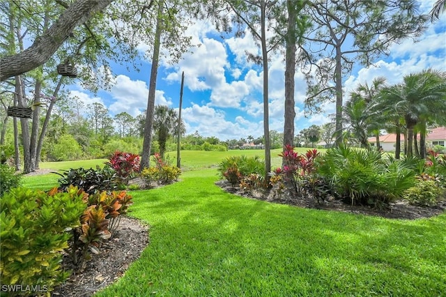 28111 Tamberine Ct Unit 1322, Bonita Springs, FL 34135 - photo 35