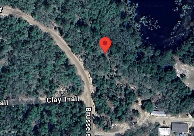 232 Brussels Ave, Interlachen, FL 32148 - photo 2