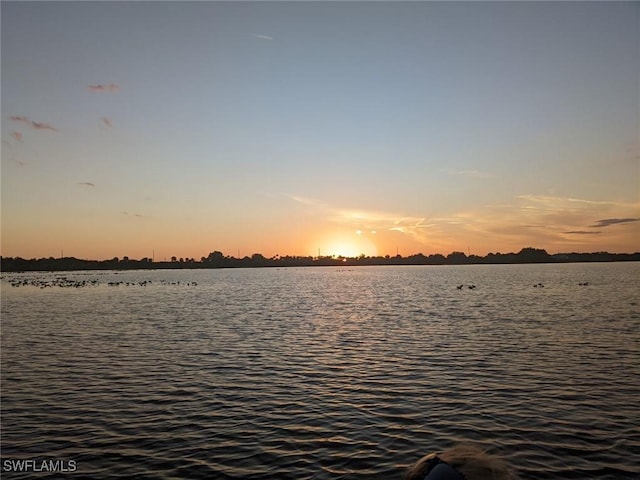 37511 Washington Loop Rd, Punta Gorda, FL 33982 - photo 47