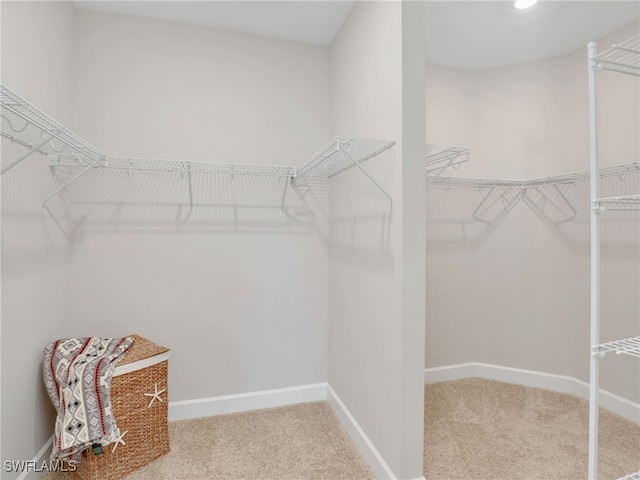 15132 Sacile St, Naples, FL 34114 - photo 31
