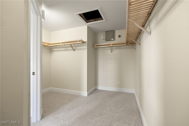 2933 NW 25th Ter, Cape Coral, FL 33993 - walk in closet featuring carpet flooring
