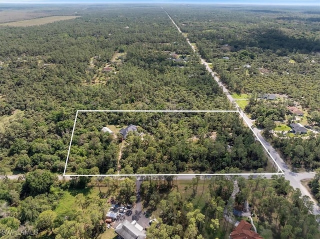 1240 Desoto Blvd S, Naples, FL 34117 - photo 40
