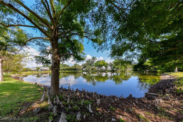 12964 Meadowood Ct, Fort Myers, FL 33919 - water view