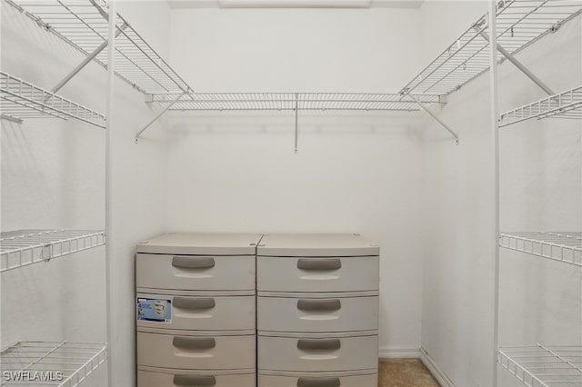 10020 Ravello Blvd, Fort Myers, FL 33905 - view of walk in closet