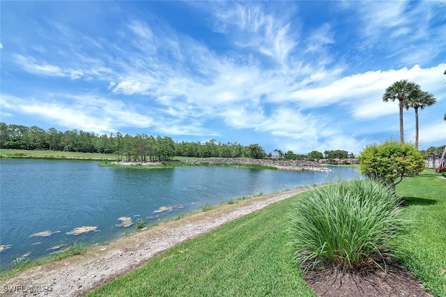 8600 Cedar Hammock Cir Unit 1313, Naples, FL 34112 - photo 45