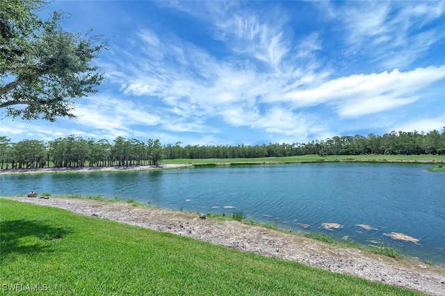 8600 Cedar Hammock Cir Unit 1313, Naples, FL 34112 - photo 46