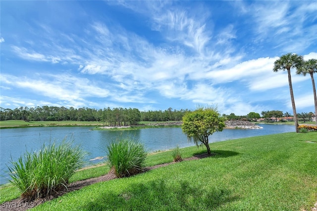 8600 Cedar Hammock Cir Unit 1313, Naples, FL 34112 - photo 47