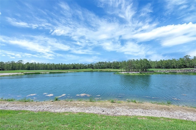 8600 Cedar Hammock Cir Unit 1313, Naples, FL 34112 - photo 48