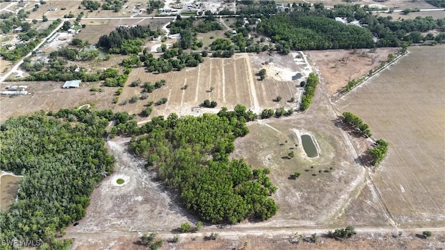 17341 Balfour Ter, Fort Myers, FL 33913