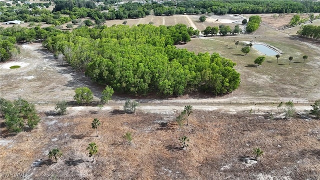 17341 Balfour Ter, Fort Myers, FL 33913