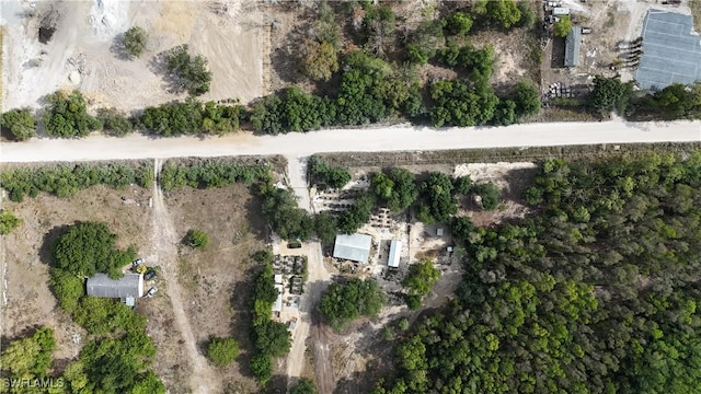 17341 Balfour Ter, Fort Myers, FL 33913