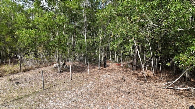 17341 Balfour Ter, Fort Myers, FL 33913