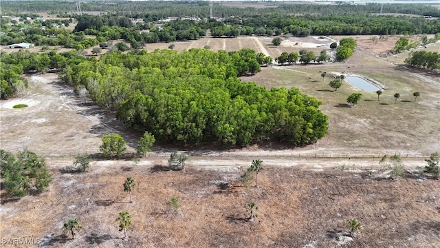 17341 Balfour Ter, Fort Myers, FL 33913
