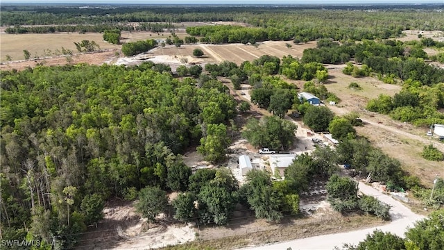 17341 Balfour Ter, Fort Myers, FL 33913