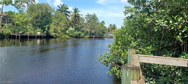 27132 Serrano Way, Bonita Springs, FL 34135 - photo 26