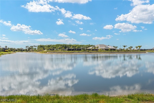 15322 Turin Dr, Naples, FL 34114 - photo 45