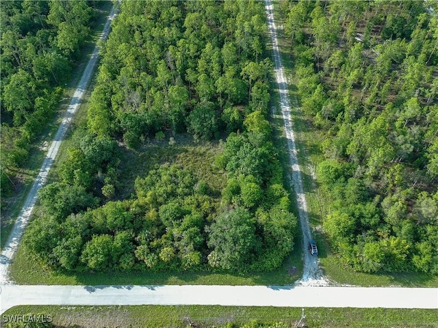 136 Natick Ave S, Lehigh Acres, FL 33974