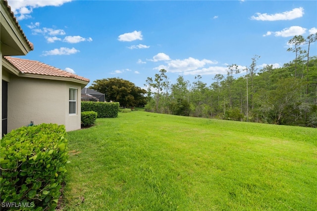 13599 Troia Dr, Estero, FL 33928 - photo 24