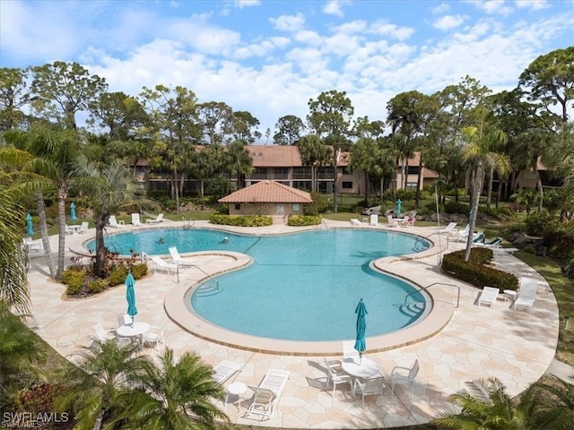3207 Horse Carriage Way Unit 406, Naples, FL 34105 - photo 27