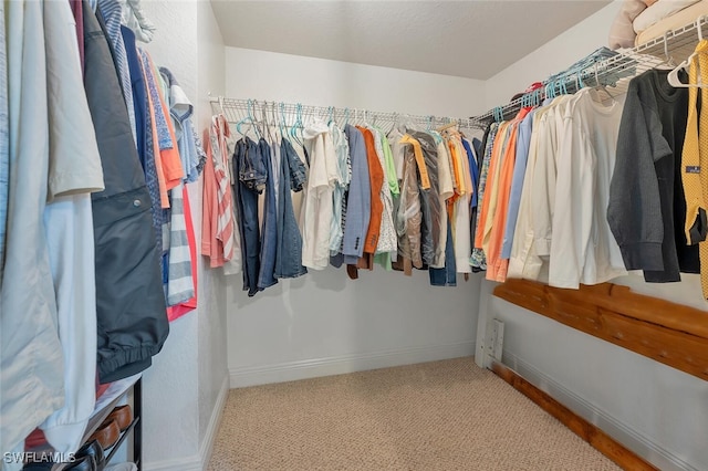 23520 Walden Center Dr Unit 207, Estero, FL 34134 - walk in closet featuring carpet