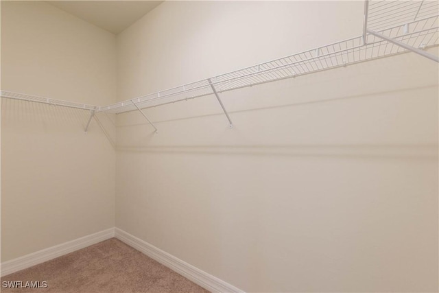 3322 Hampton Blvd, Alva, FL 33920 - photo 19